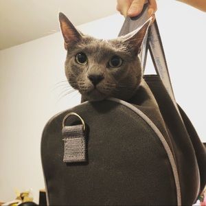 Meet your Posher, Jackie